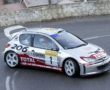 Peugeot 206 WRC, 2002, Richard Burns