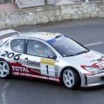 Peugeot 206 WRC, 2002, Richard Burns