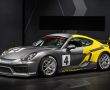 Porsche Cayman GT4 Clubsport, 2015 Los Angeles