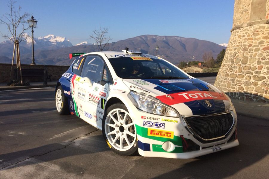 Paolo Andreucci and Anna Andreussi, Peugeot 208 T16