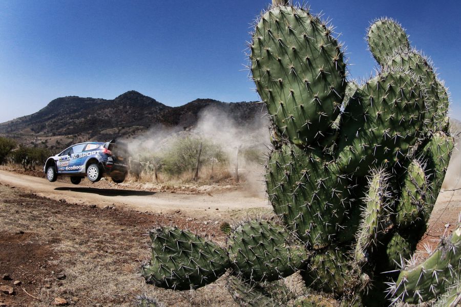 Rally Mexico ambiance