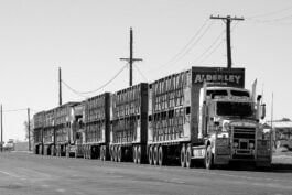 Why Every Truck Driver Should Have Insurance