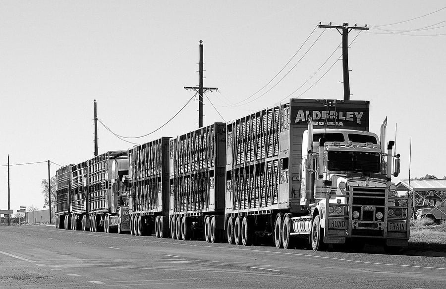 Road Train Truck