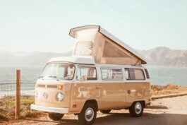 Van-Tastic! Top Tips for Ensuring Your New Van Best Suits Your Needs