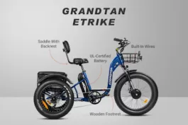 Best Electric Adult Trike for City Riding: Addmotor Grandtan City