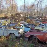 Car Junkyard