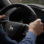 car interior