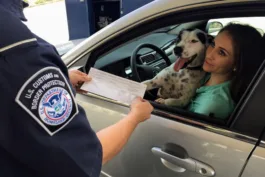 Is VIN Verification Required for Every Vehicle?