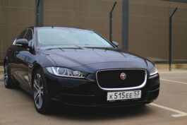 Top Reasons to Choose Custom European License Plates