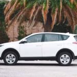 hybrid rentals